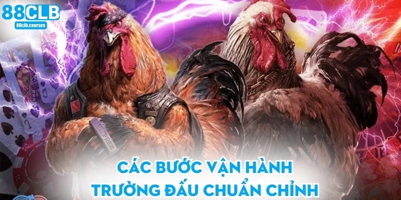 Đá Gà Mộc Bài - Trải Nghiệm Trường Đấu Đỉnh Cao Thời Đại Mới 2 Các bước vận hành trường đấu chuẩn chỉnh
