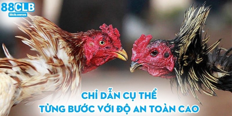 Đá Gà Cựa Sắt - Trải Nghiệm Đỉnh Cao Cho Người Đam Mê 3 Chỉ dẫn cụ thể từng bước với độ an toàn cao