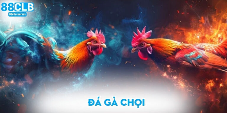 Đá gà chọi