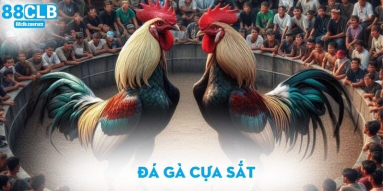 Đá gà cựa sắt
