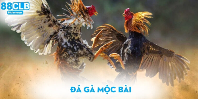 Đá gà mộc bài