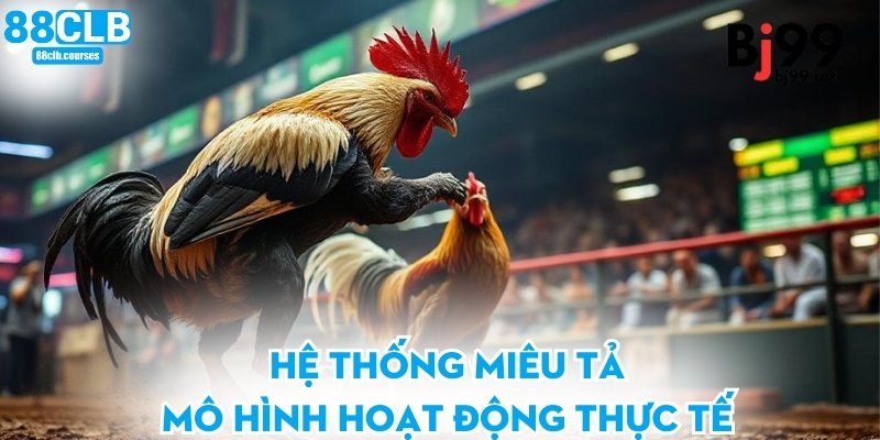 Trường Gà Savan - Trải Nghiệm Giải Trí Đỉnh Cao Cho Bạn 1 Hệ thống miêu tả mô hình hoạt động thực tế