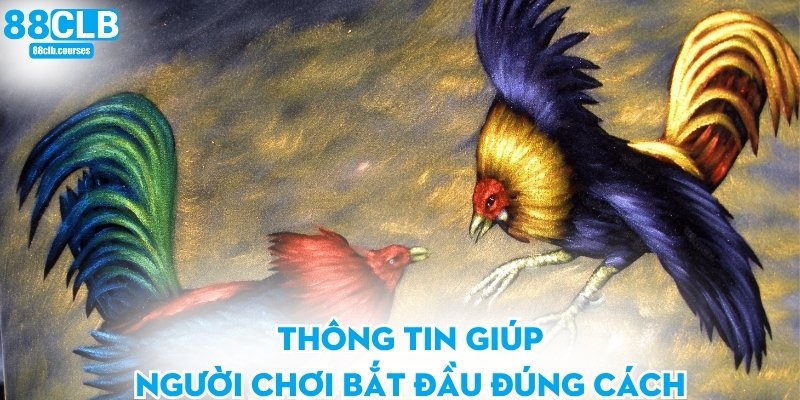 Thông tin giúp người chơi bắt đầu đúng cách