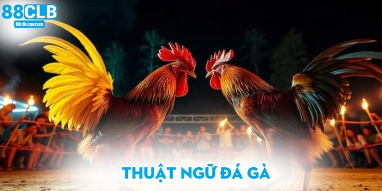 Thuật ngữ đá gà