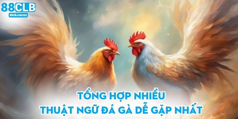 Thuật Ngữ Đá Gà - Giải Thích Chi Tiết Dành Cho Người Mới 2 Tổng hợp nhiều thuật ngữ đá gà dễ gặp nhất