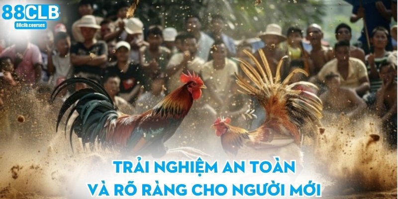 Trải nghiệm an toàn và rõ ràng cho người mới