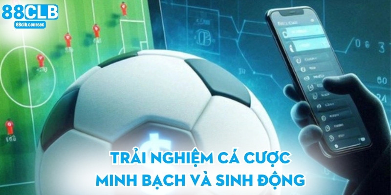 Trải nghiệm cá cược minh bạch và sinh động