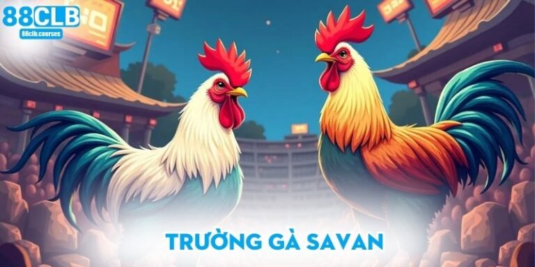 Trường gà Savan